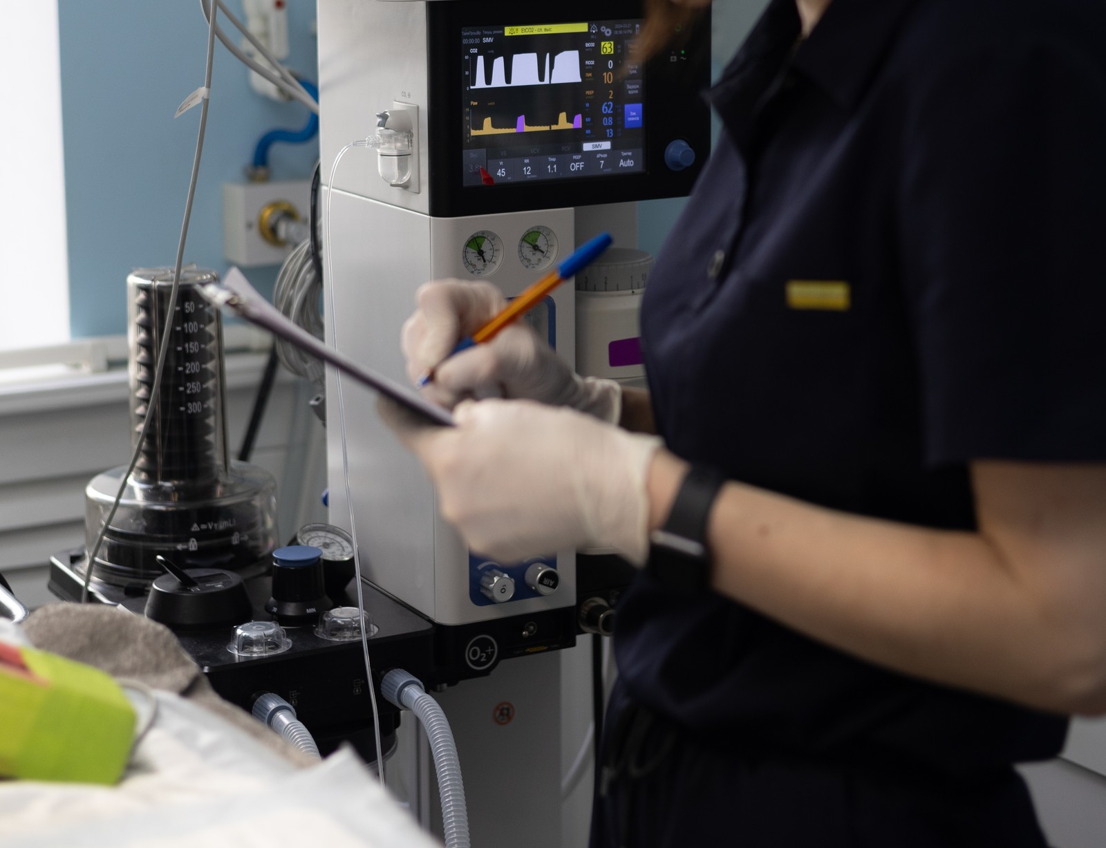Pet receiving pre-anesthetic care