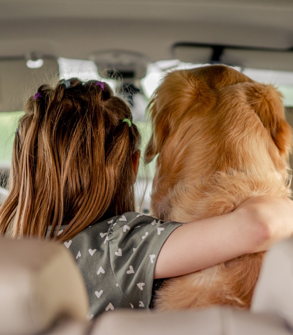 Girl hugging golden retriever