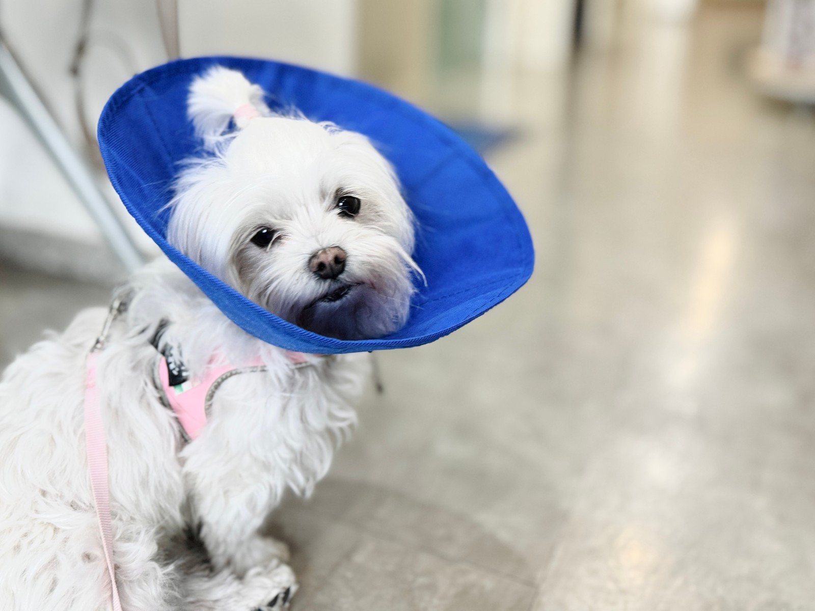 Post-operative recovery and pain management