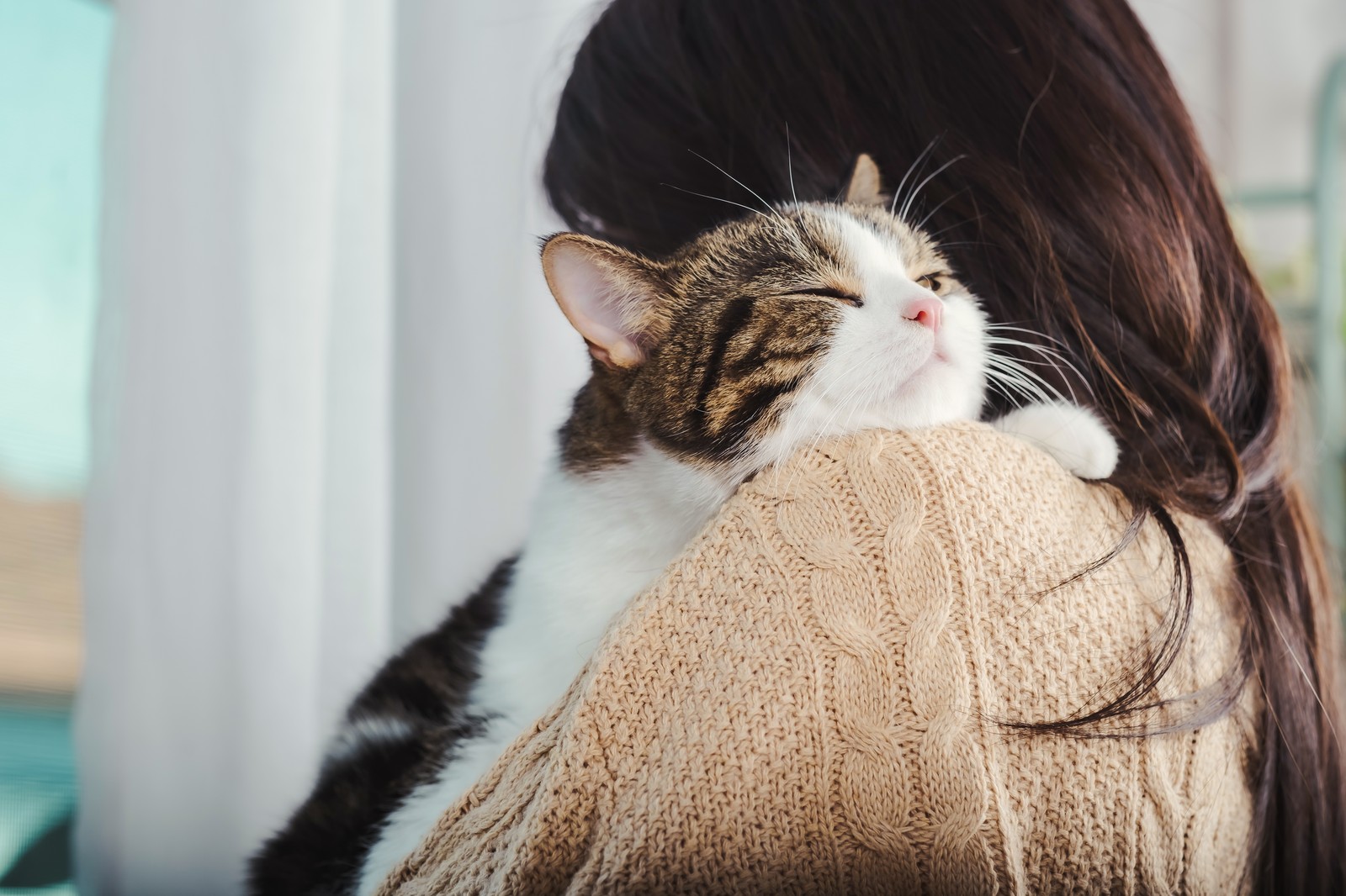 Cat resting on owner's shoulder — hope and comfort