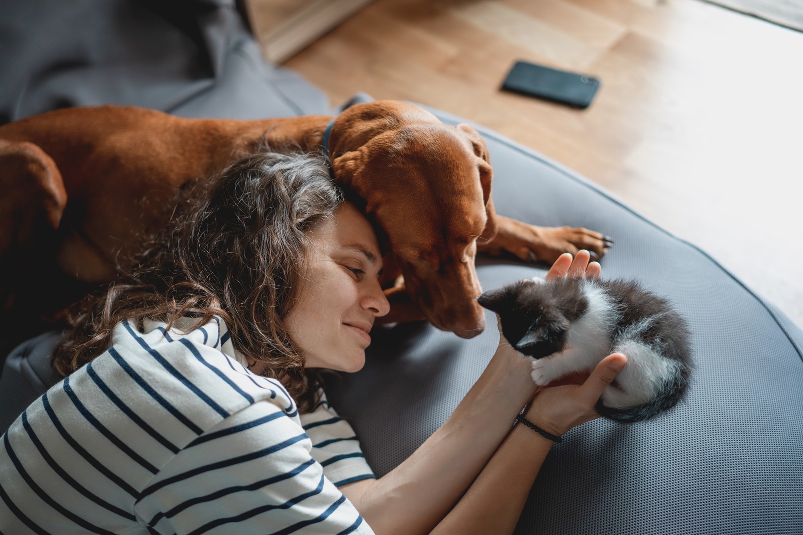Woman cuddling with her dog and kitten on the couch — they are family