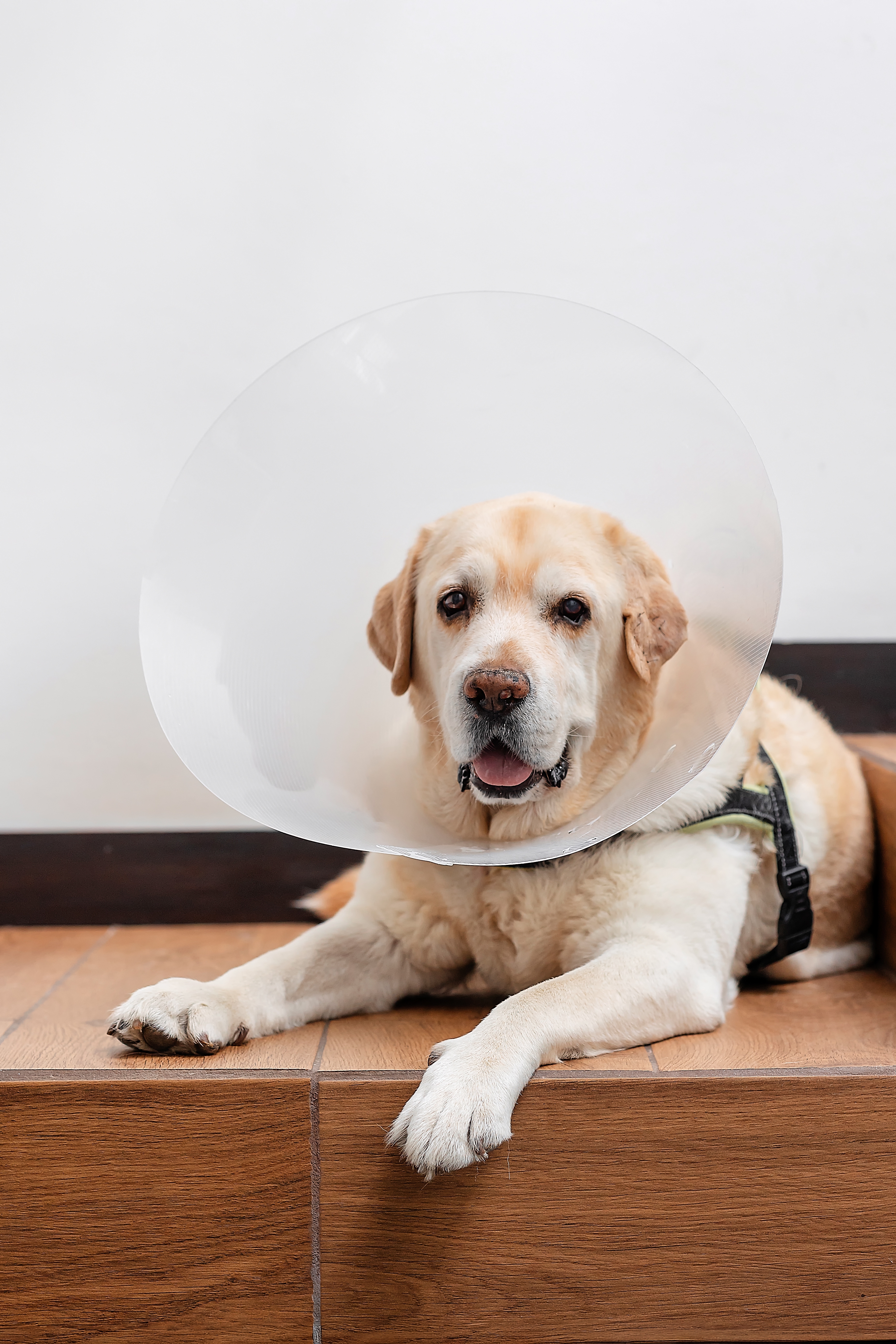 Specialized anesthetic care for every patient